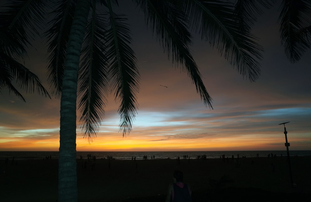 a person sitting on a beach