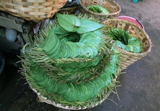 Stacks of eco-friendly sal leaf plates ready for export in a clean warehouse.