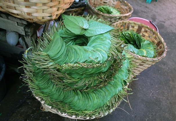 Fresh gorran toula leaves arranged on a woven African basket.