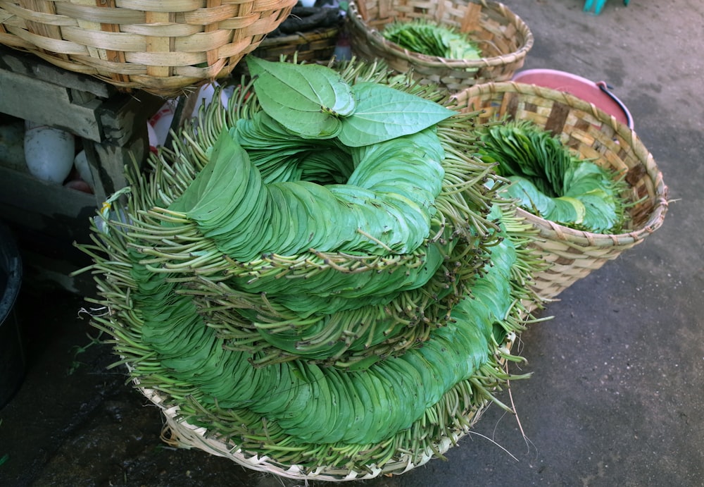 a group of baskets full of green vegetables