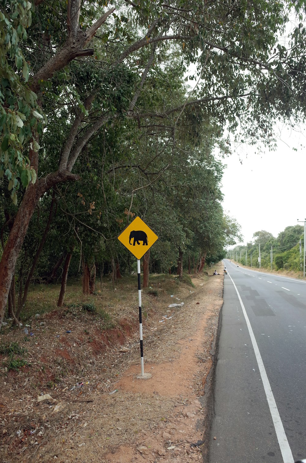 a yellow sign on the side of a road