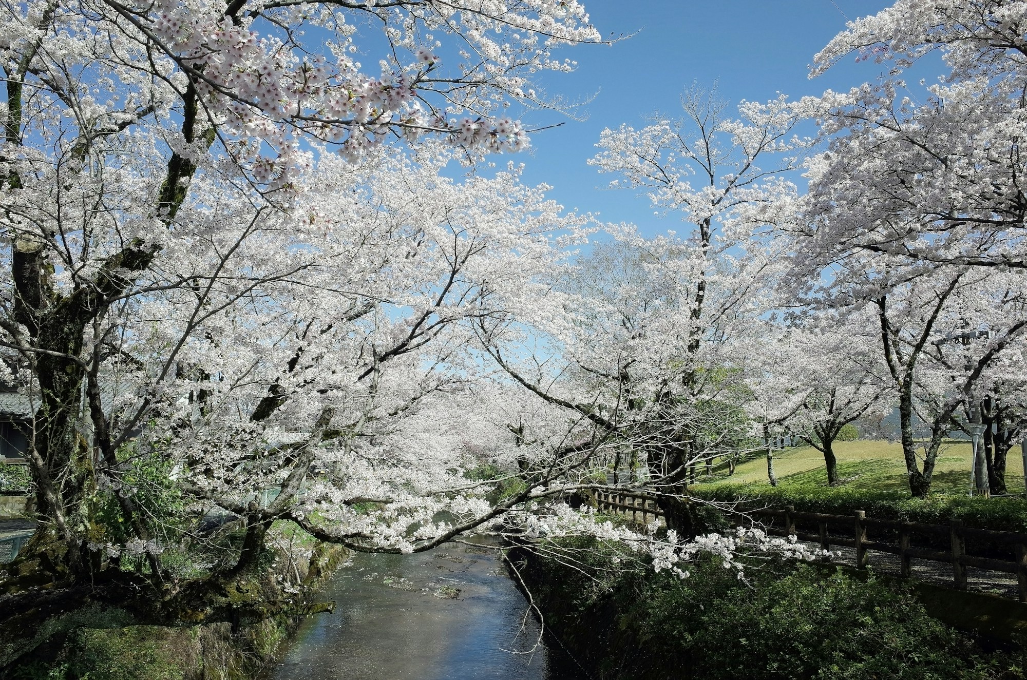 Exploring Gifu: A Local's Guide to Authentic Experiences