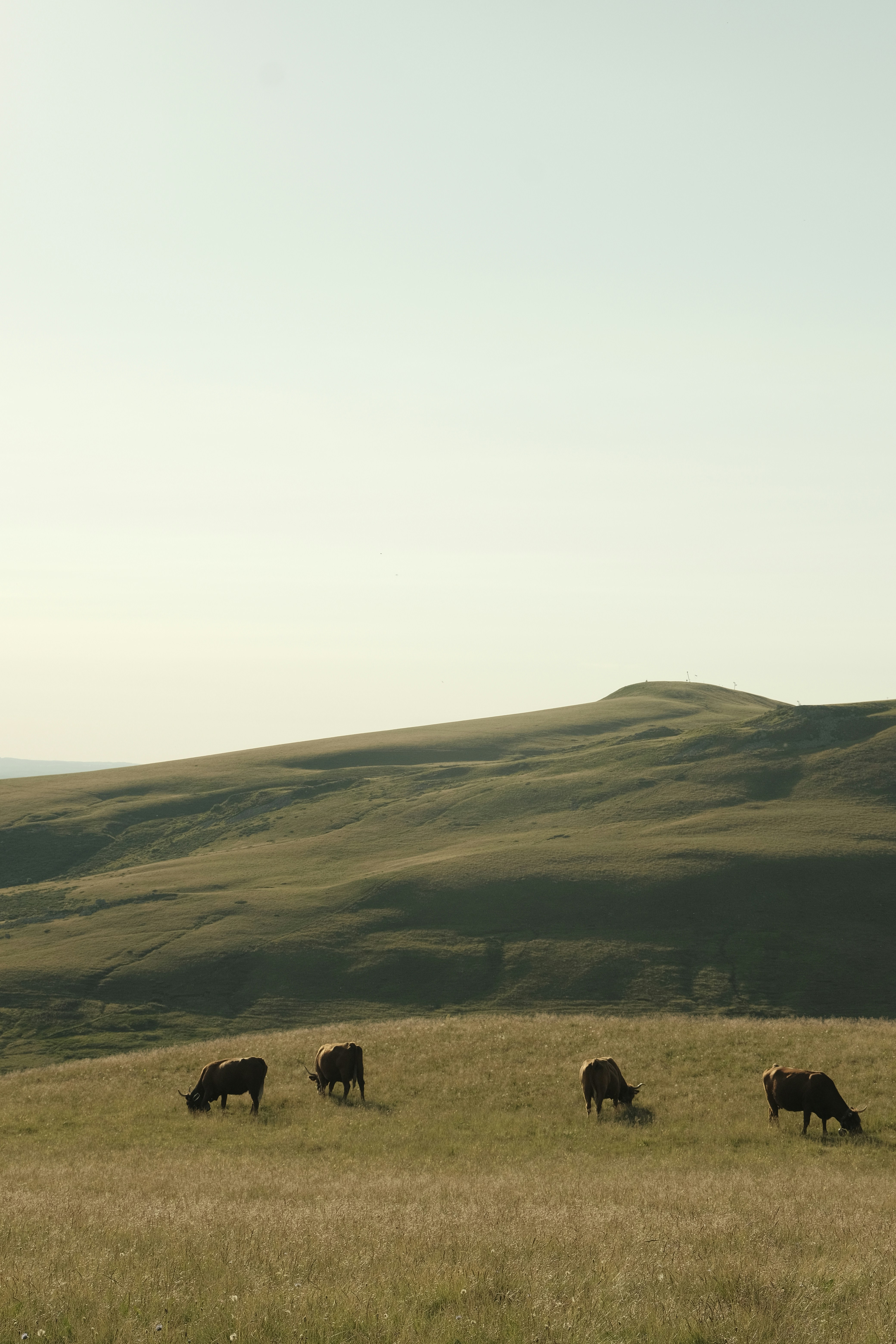 Photo by therealracim