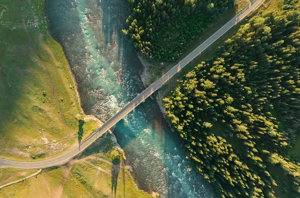 a road with grass and trees