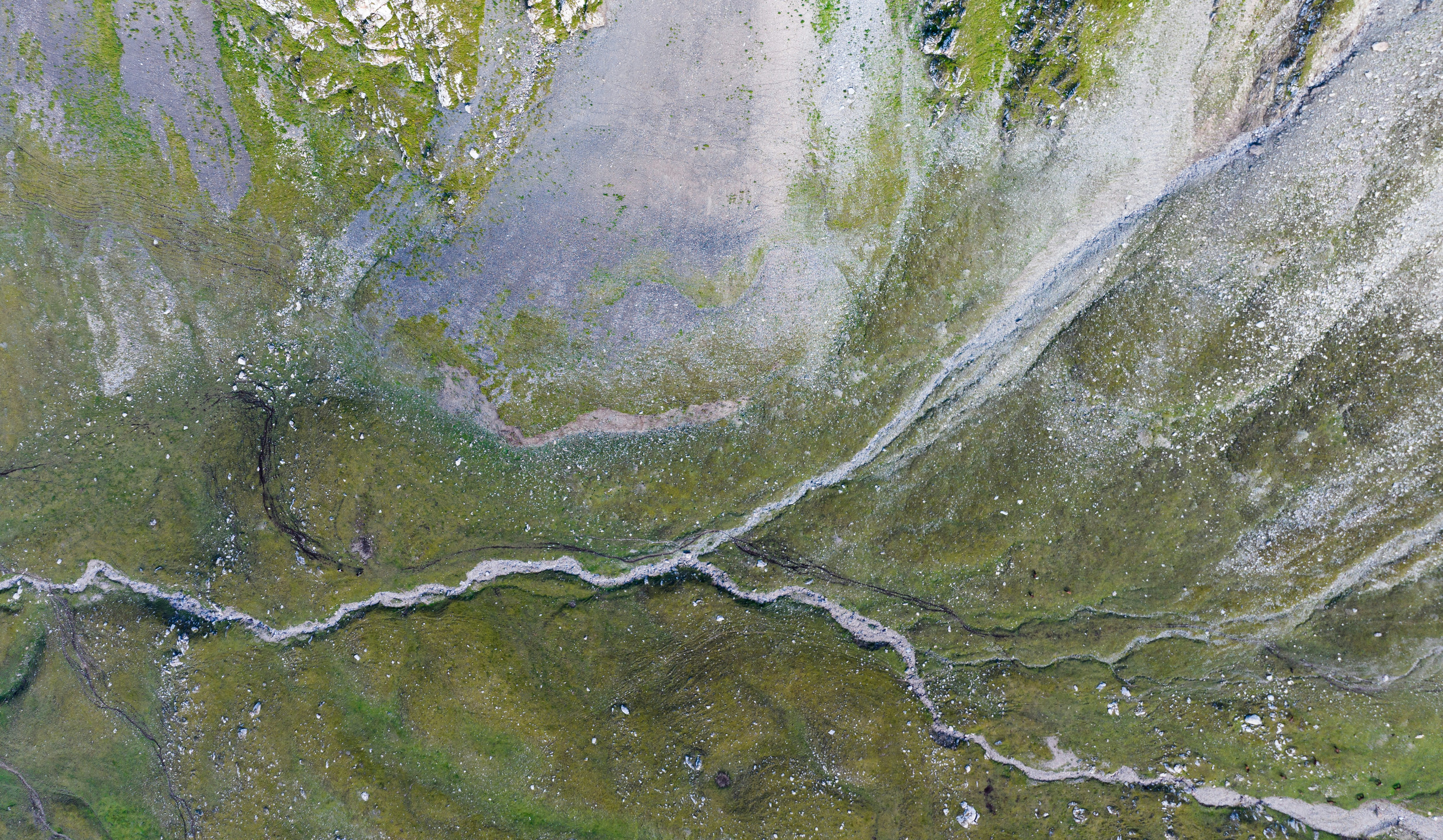 Photo by juniperphoton