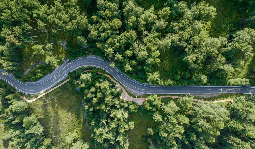 a winding road through a forest