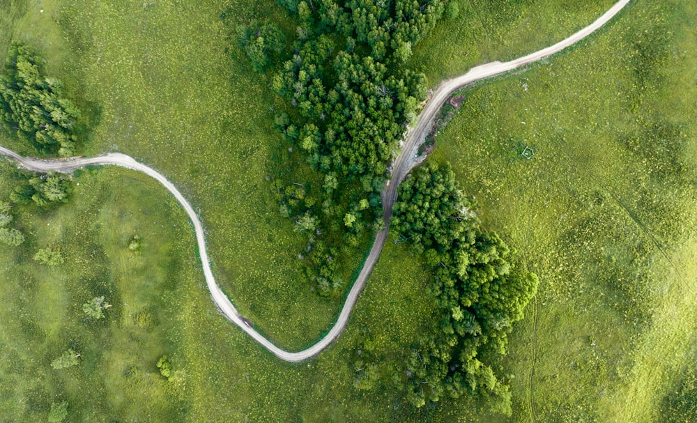 a winding road through a green field