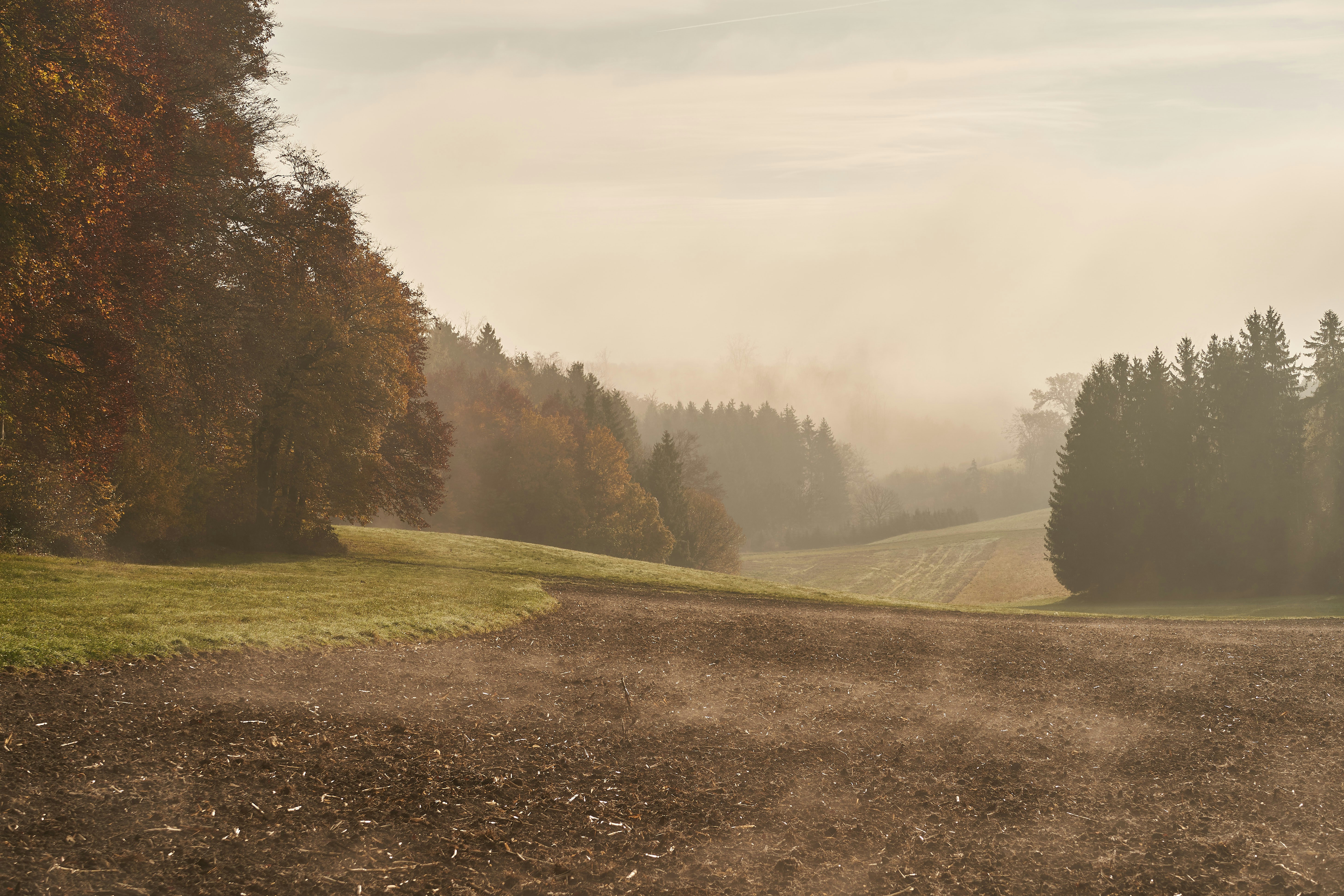 Photo by wolfgang_hasselmann