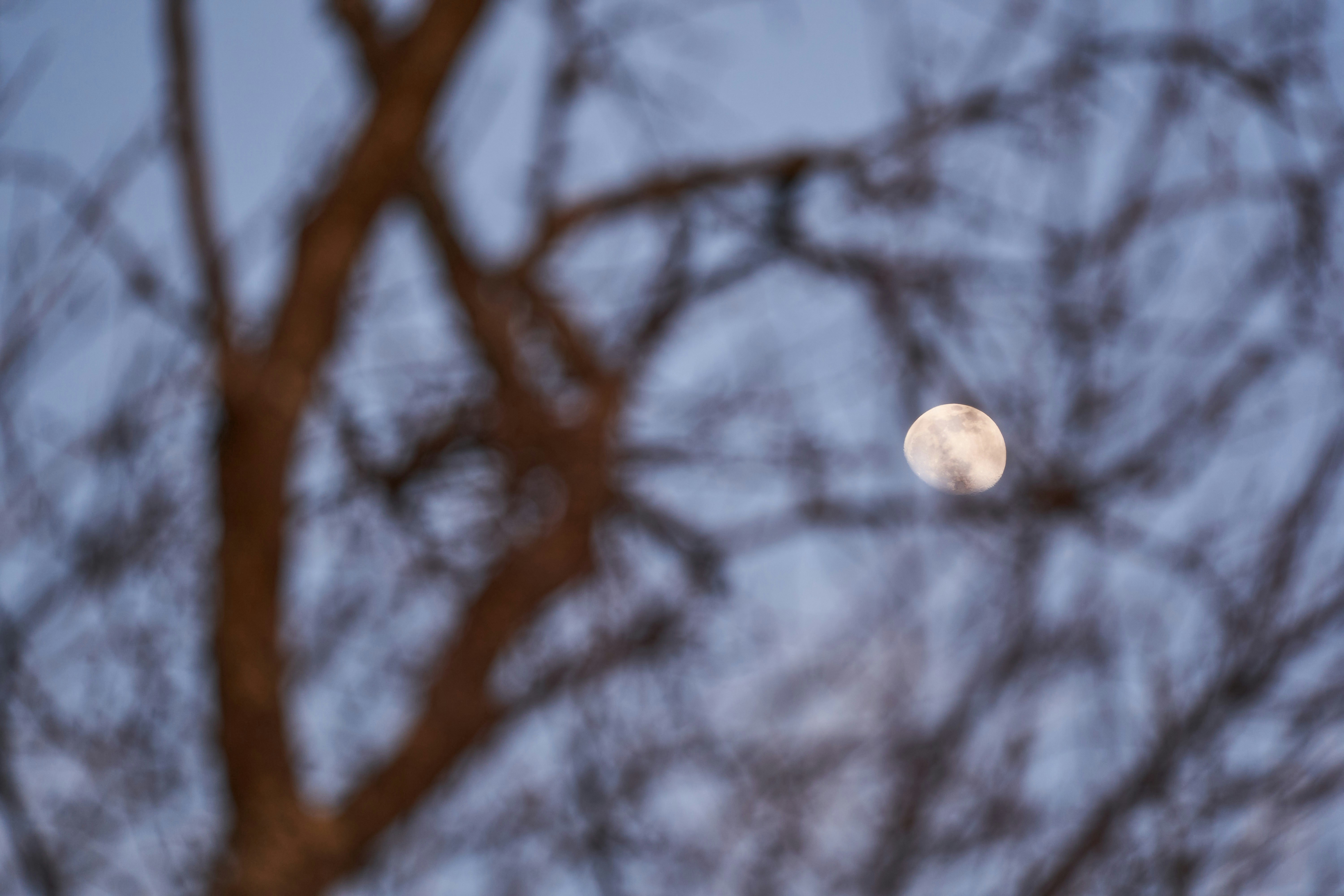 Photo by wolfgang_hasselmann