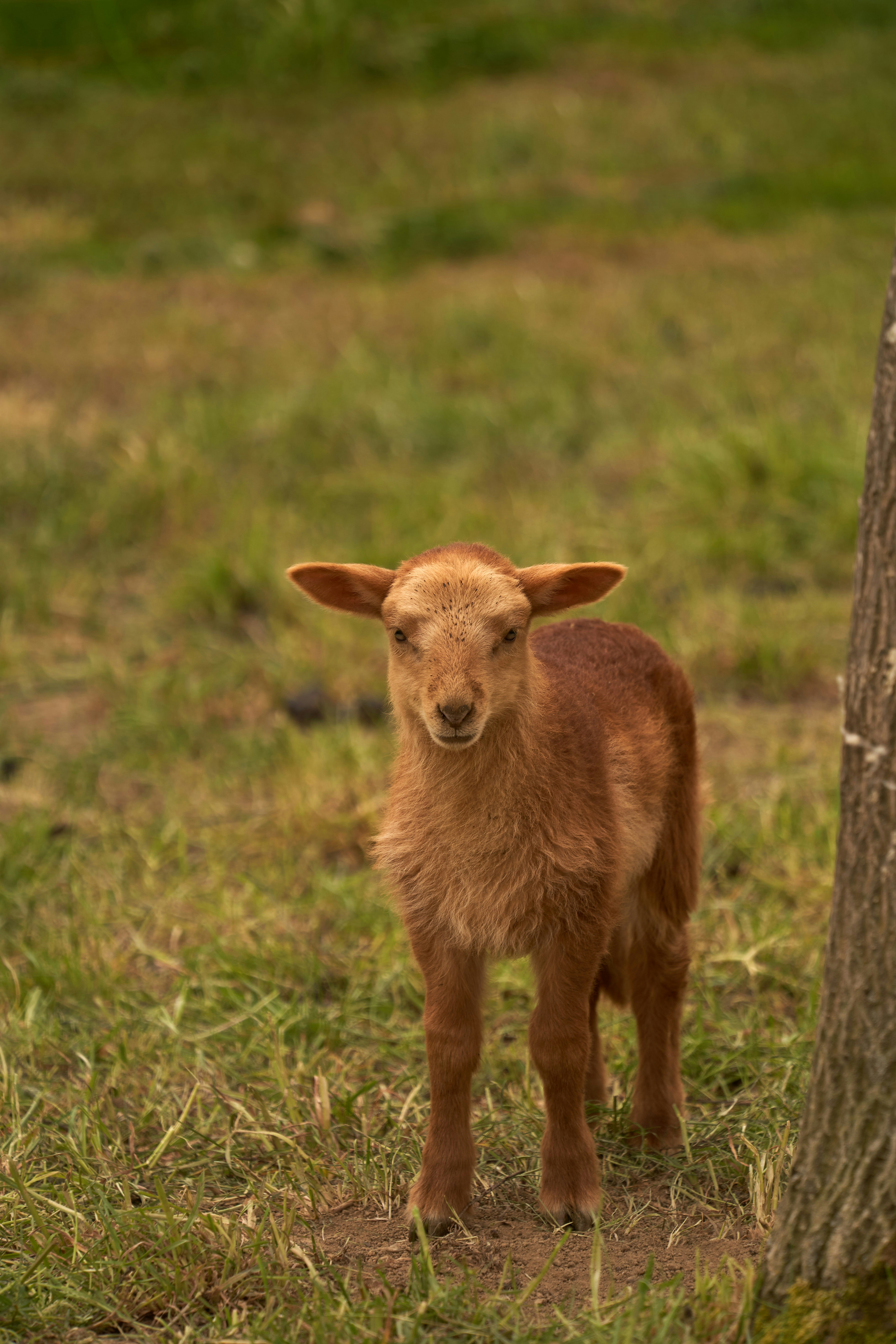 Photo by wolfgang_hasselmann