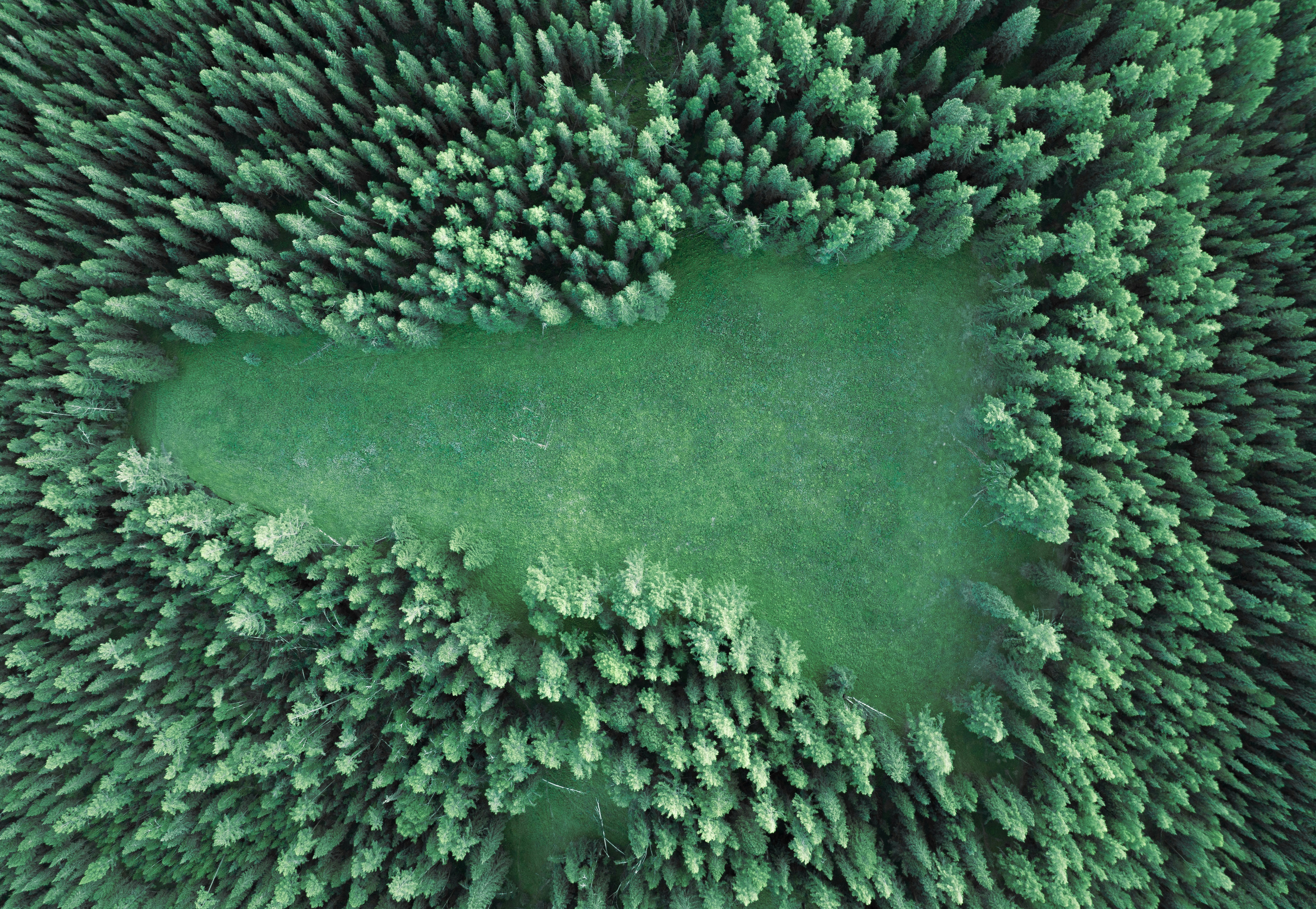 Photo by juniperphoton