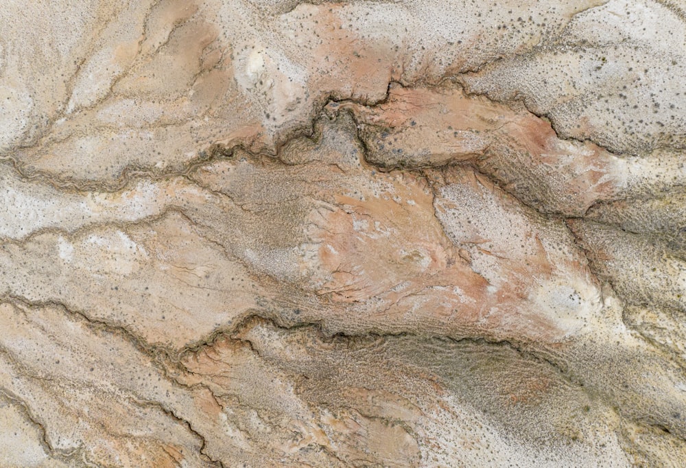 a close-up of a rock