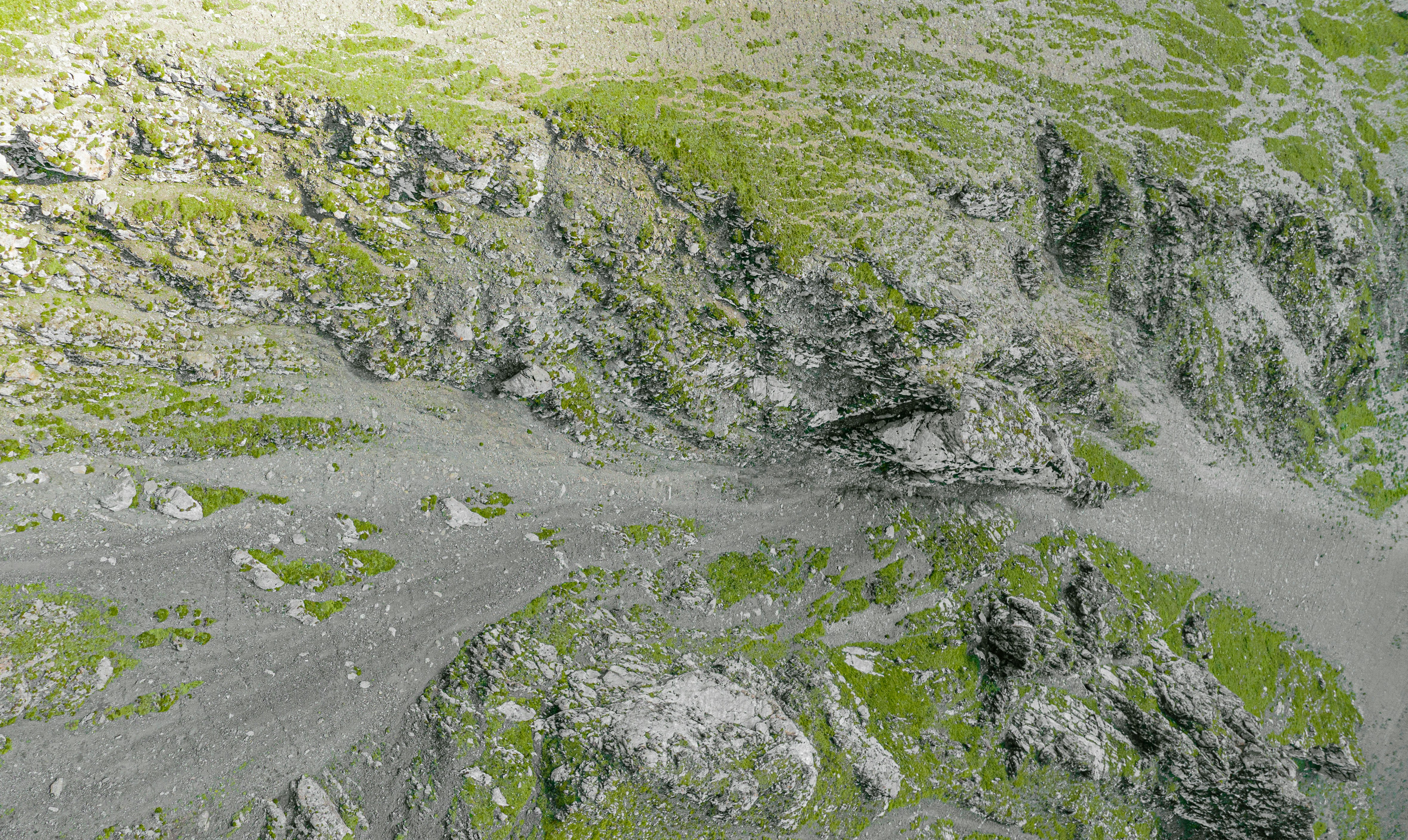 Photo by juniperphoton