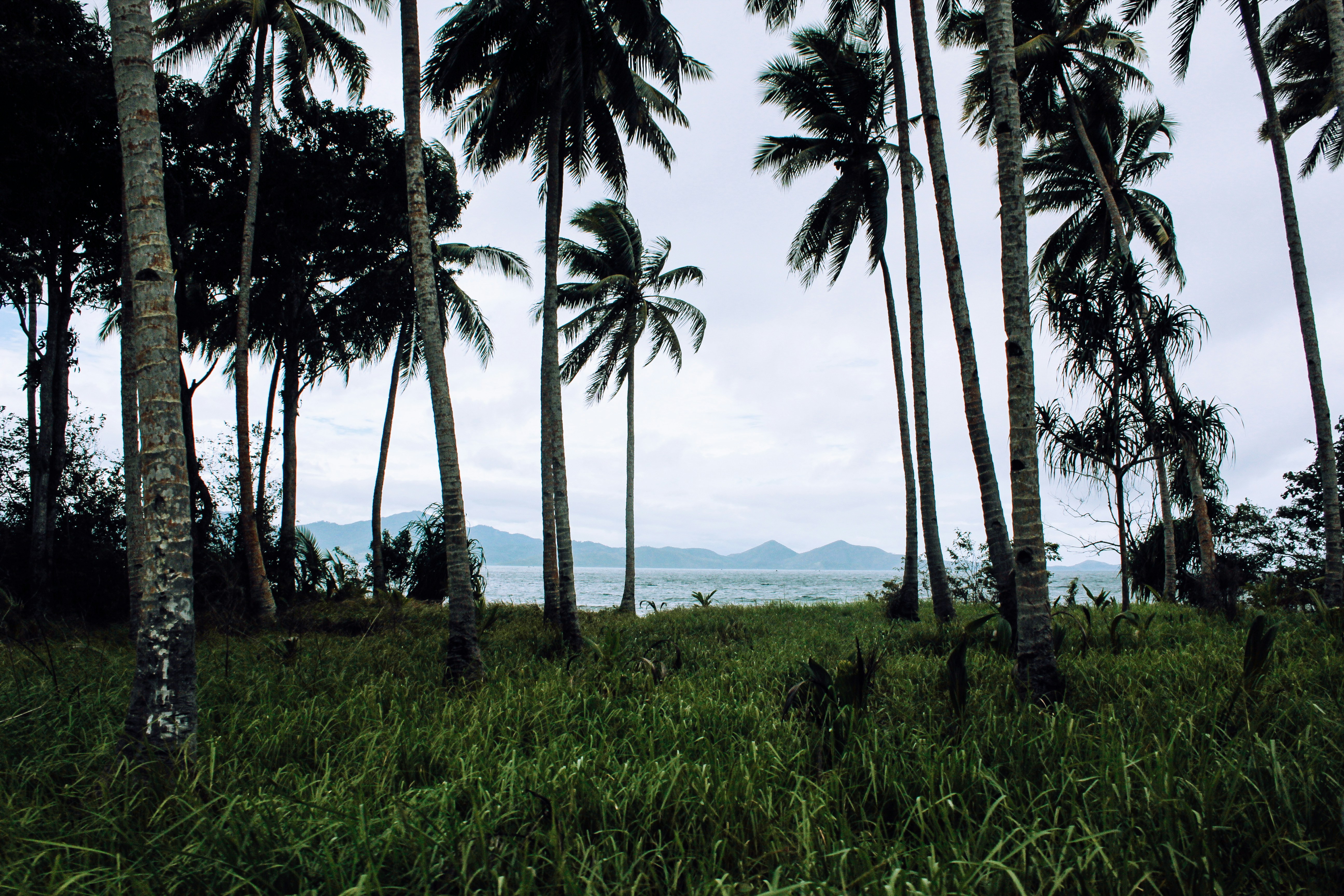 Photo by k_sariwating