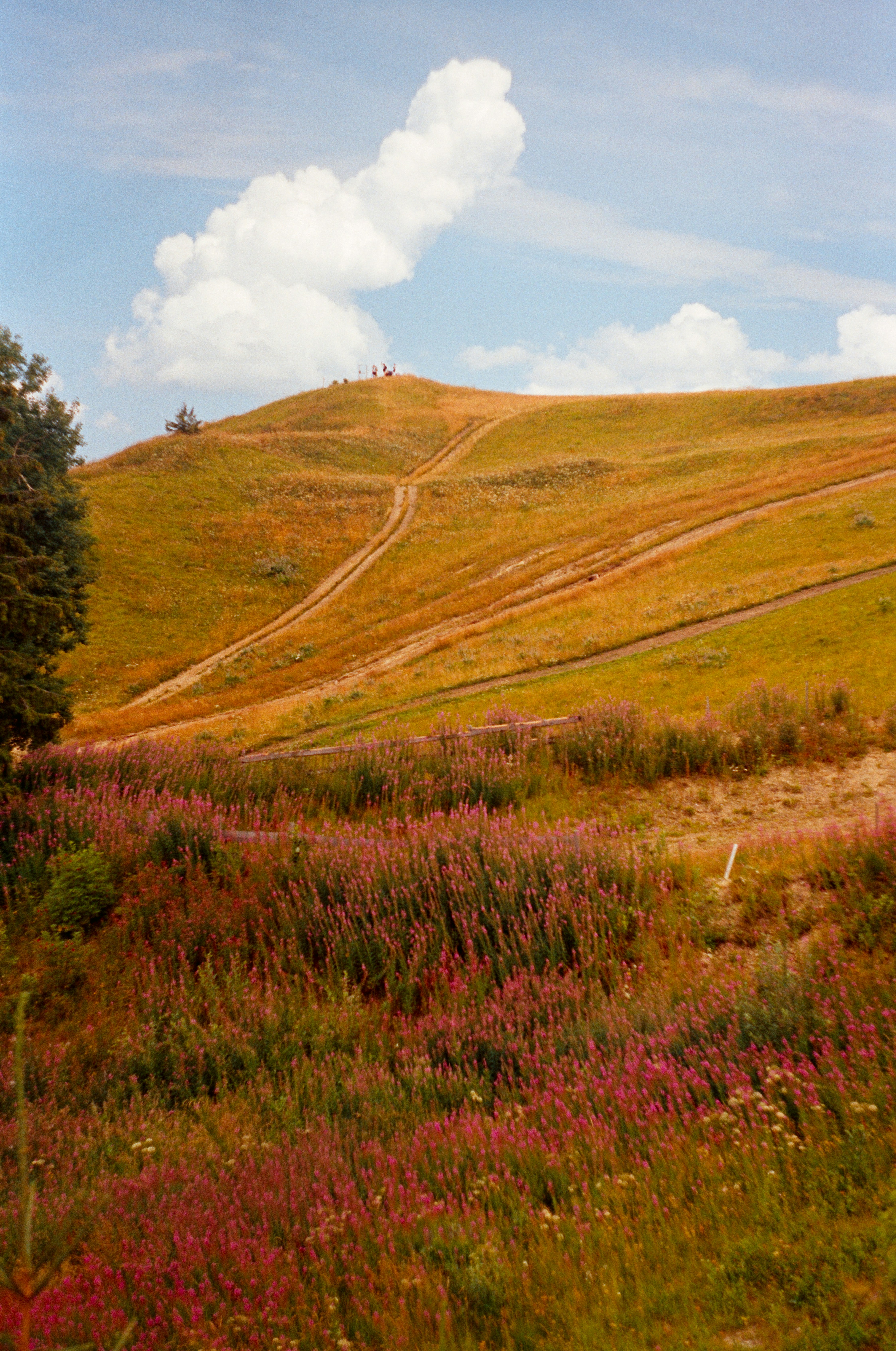 Photo by margarita_ua