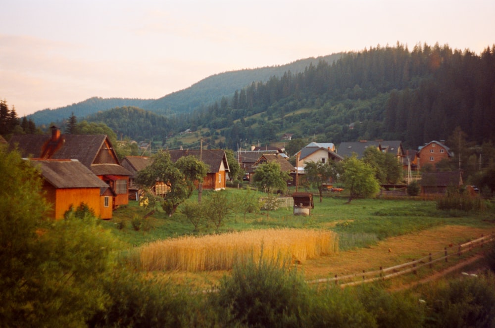 a group of houses in a valley