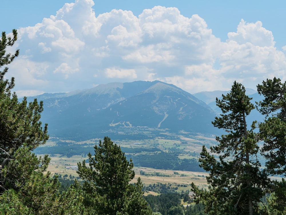 Una vista de una cadena montañosa desde un bosque