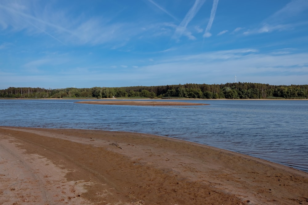 a sandy beach with trees in the background