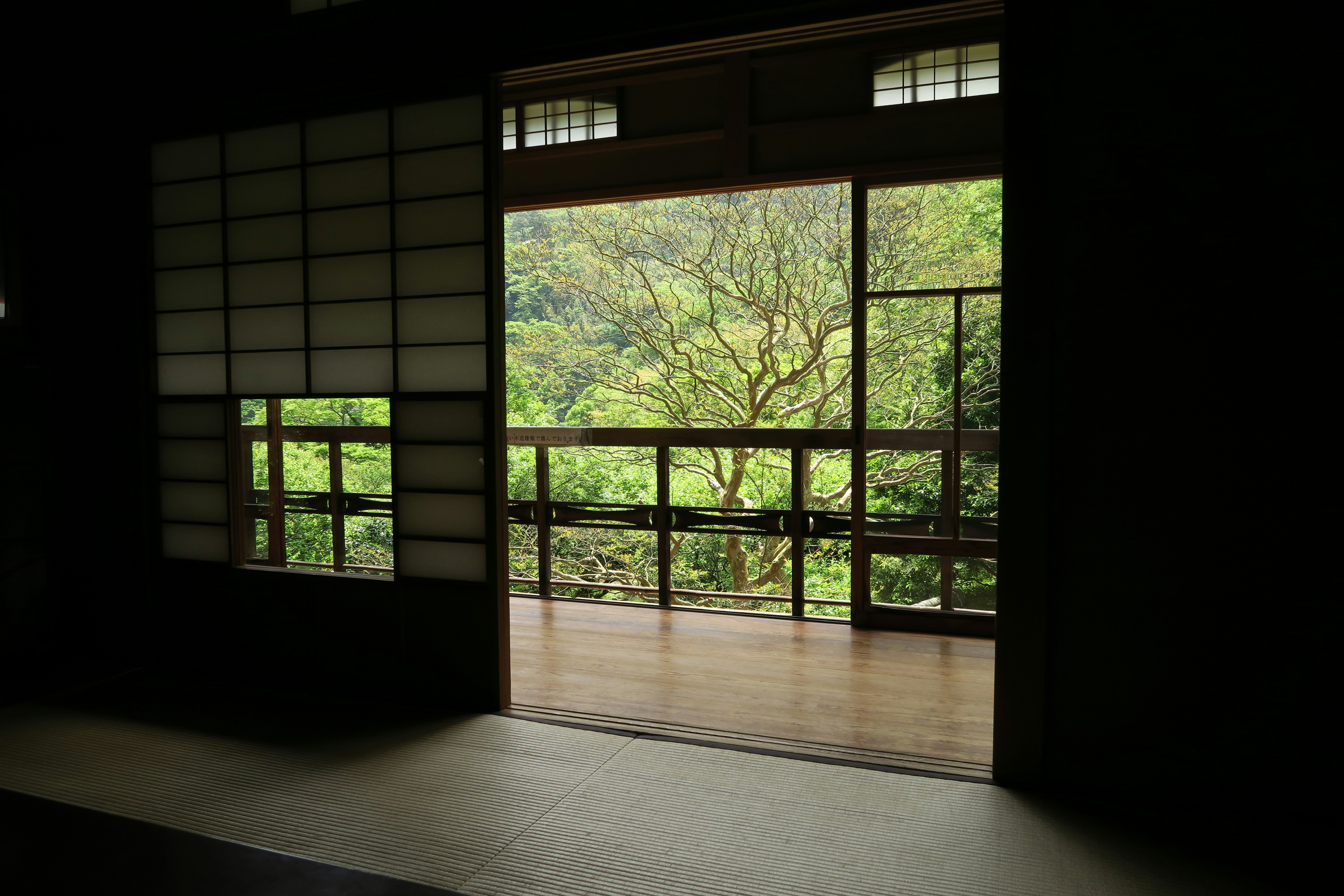 Photo by issaytsumeki