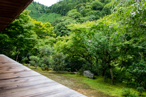 Kyoto