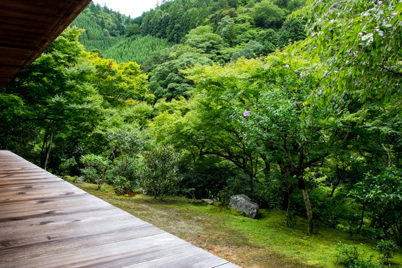 Best Eco-Friendly Resorts and Sustainable Stays in Kyoto
