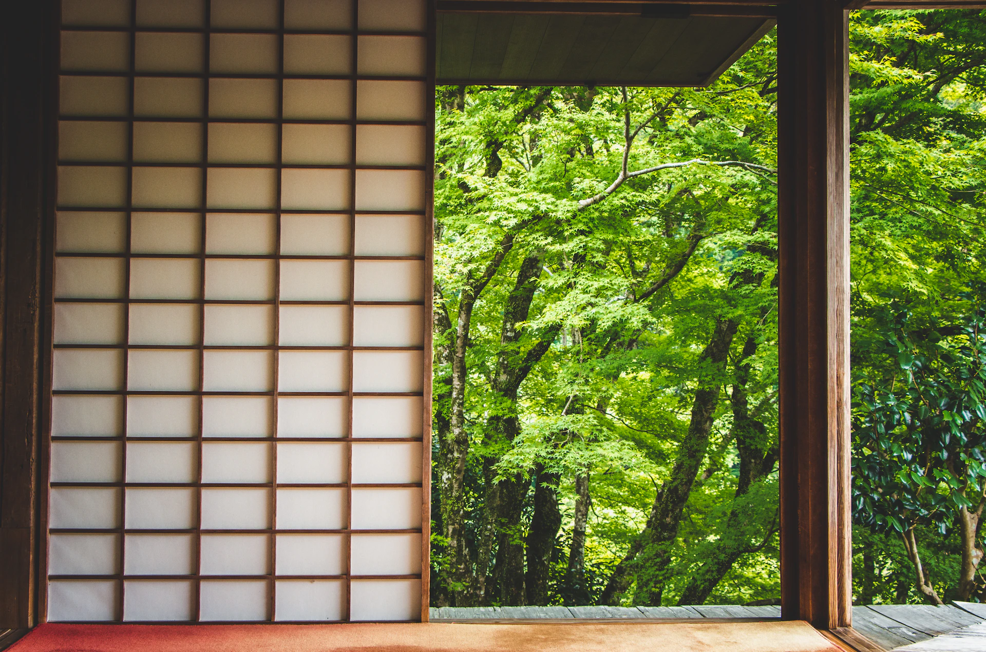 a window with trees outside