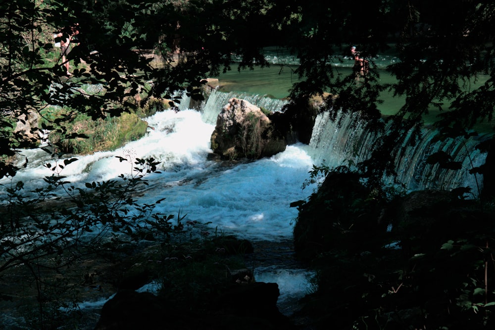 a river flowing through a forest