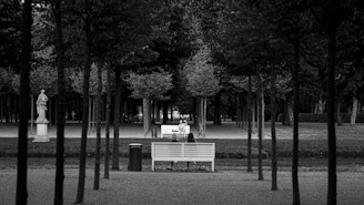 A quiet park bench under bare winter trees, framed in high contrast monochrome to evoke solitude and reflection.