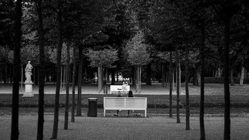 A serene park setting with well-aligned trees on either side leading the eye towards a bench. On the bench, a person is seated alone, with a statue nearby amidst the trees. The scene is captured in black and white, enhancing the tranquil and contemplative atmosphere.