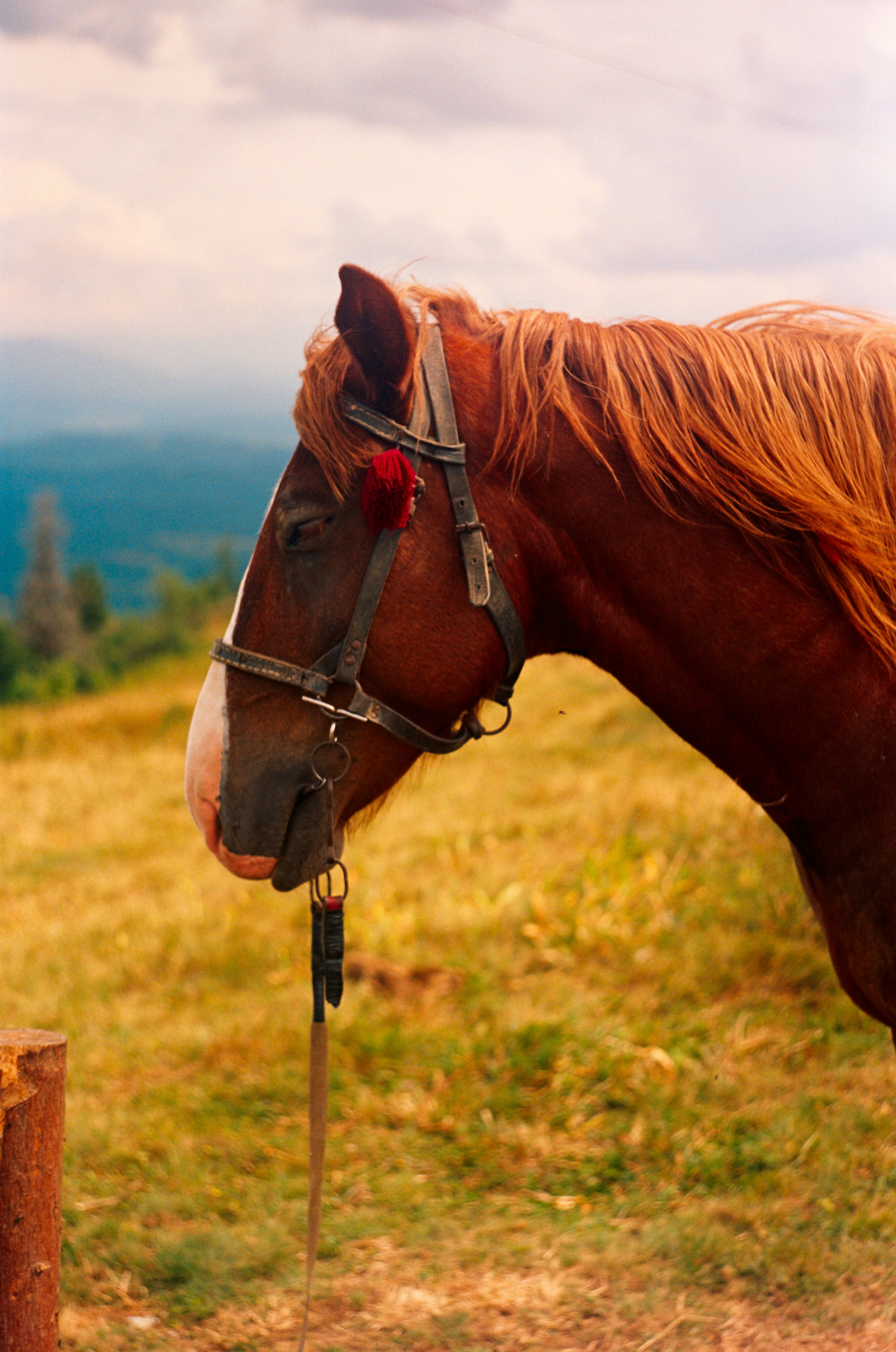 Photo by margarita_ua