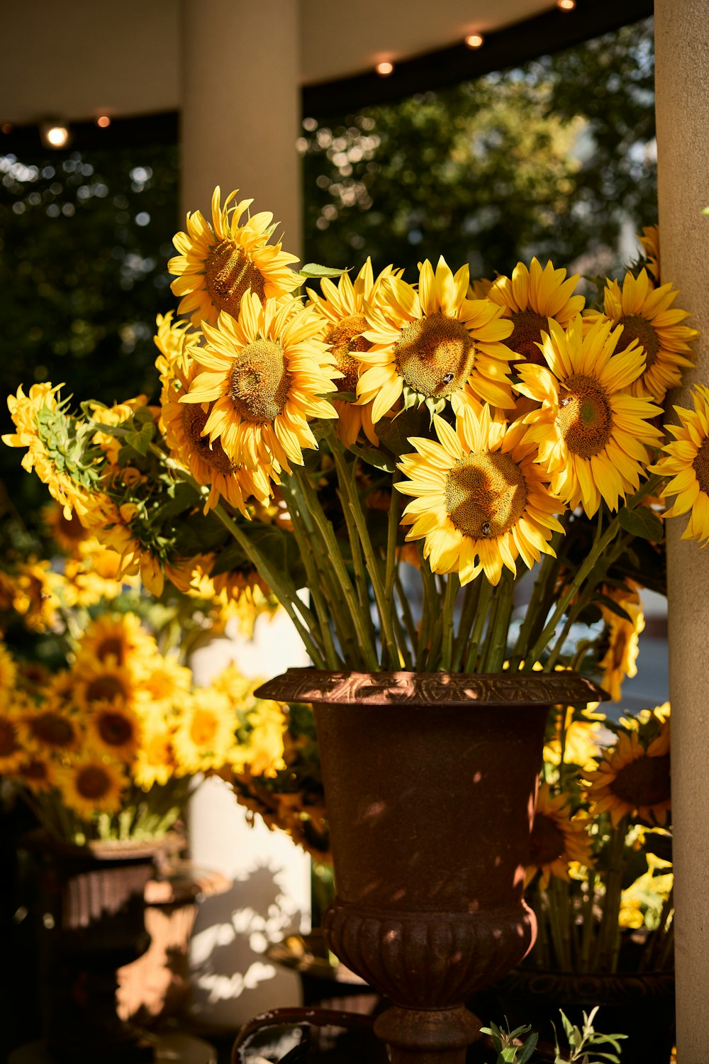 a vase of yellow flowers