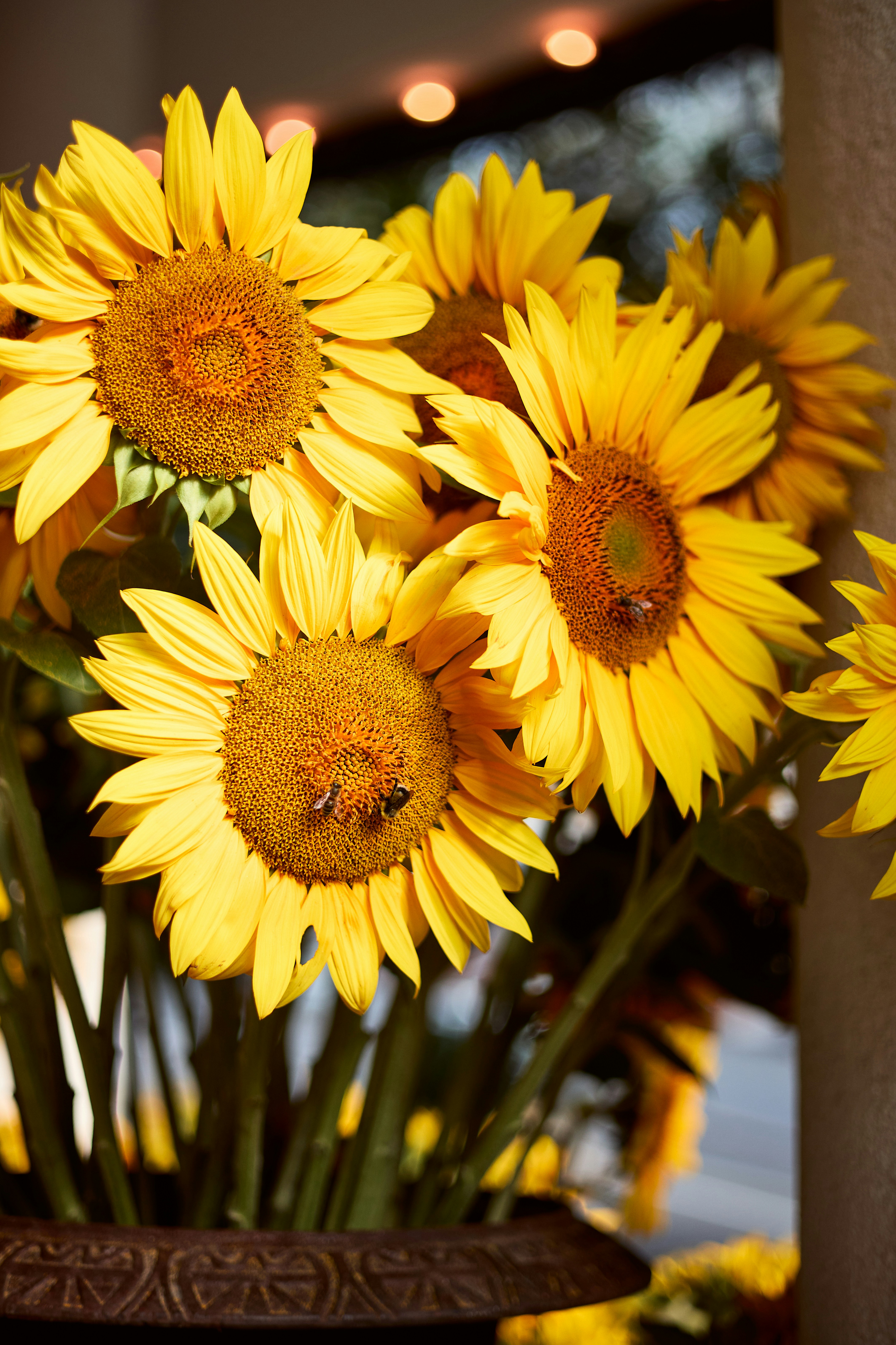 Photo by ann_leo_photo