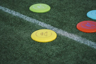 Disc Toss Game