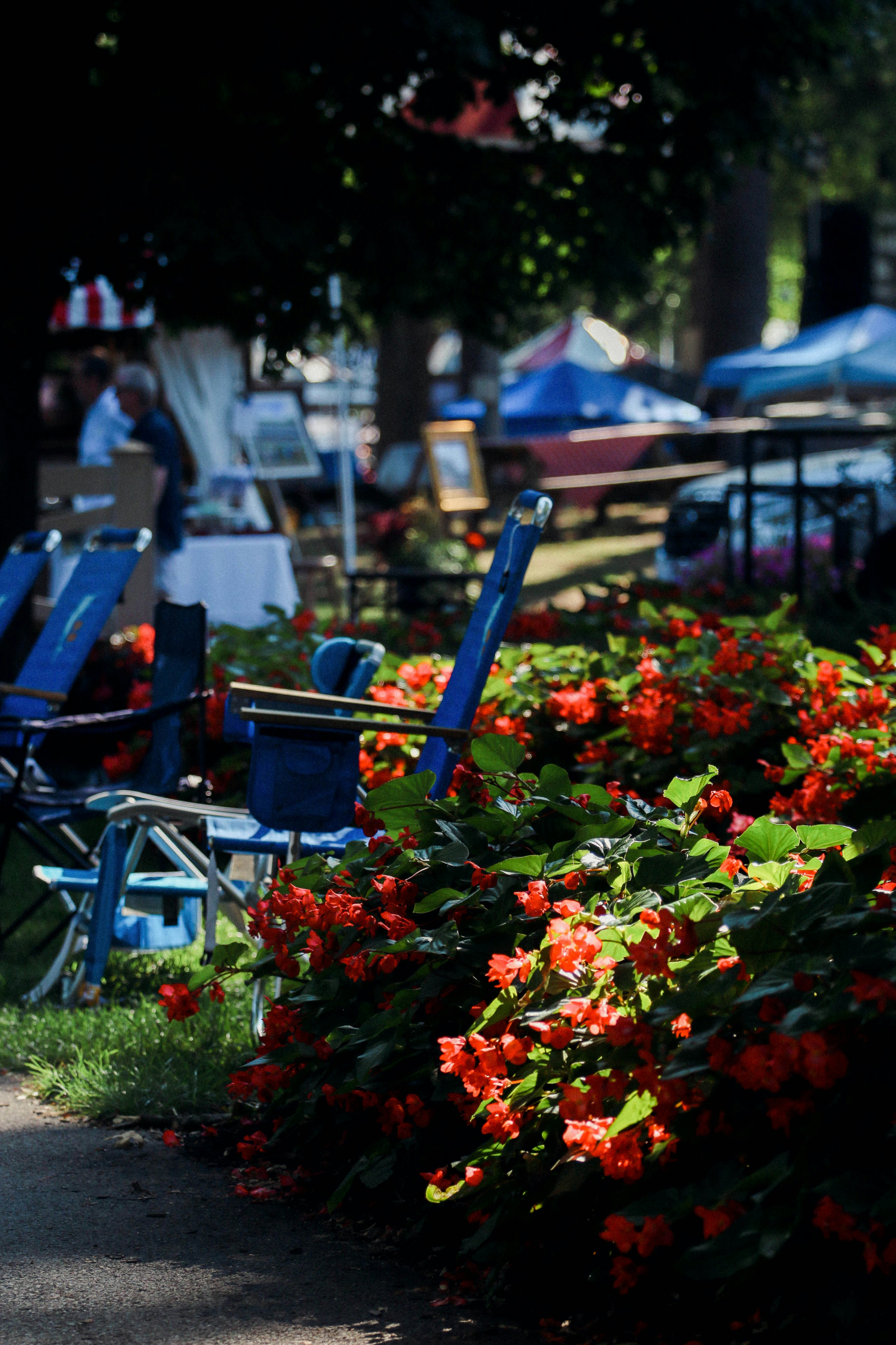 a bunch of chairs that are sitting in the grass