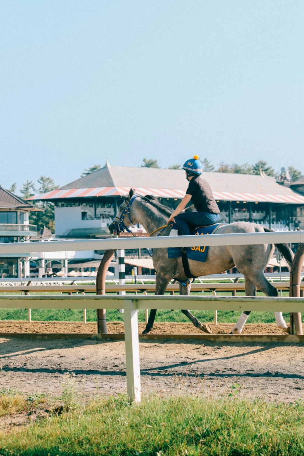 a person riding a horse