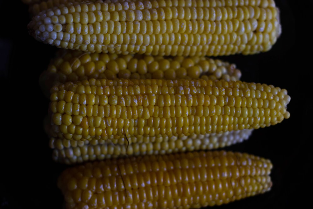 a close-up of some corn