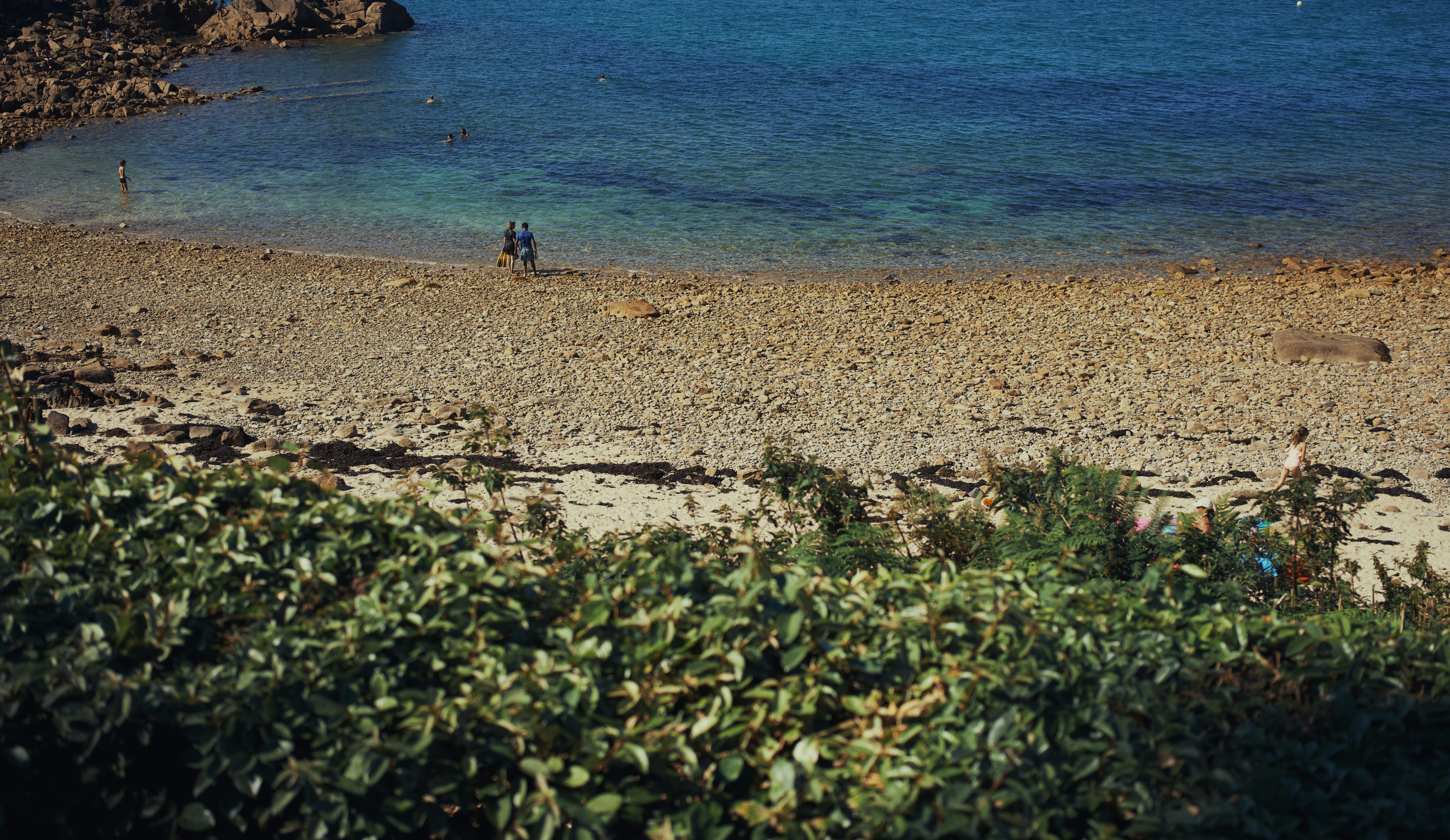 people walking on a beach