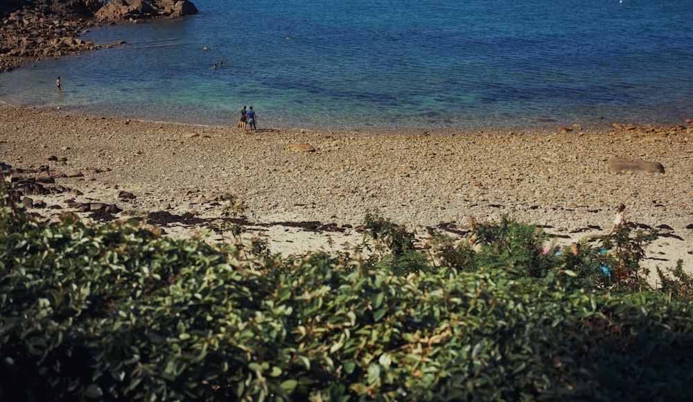 people walking on a beach