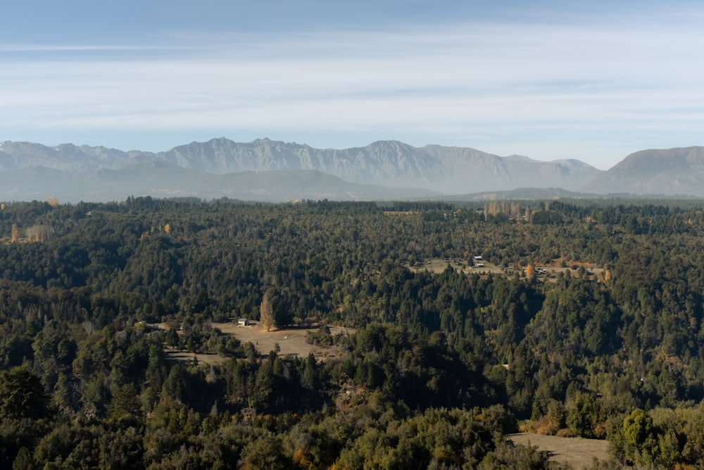 a landscape with trees and mountains in the background