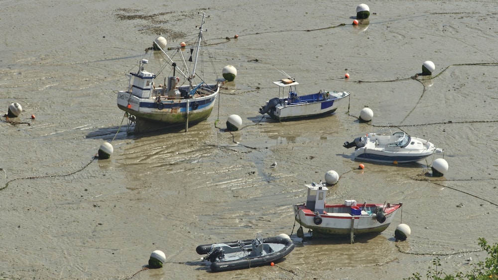 boats on the water