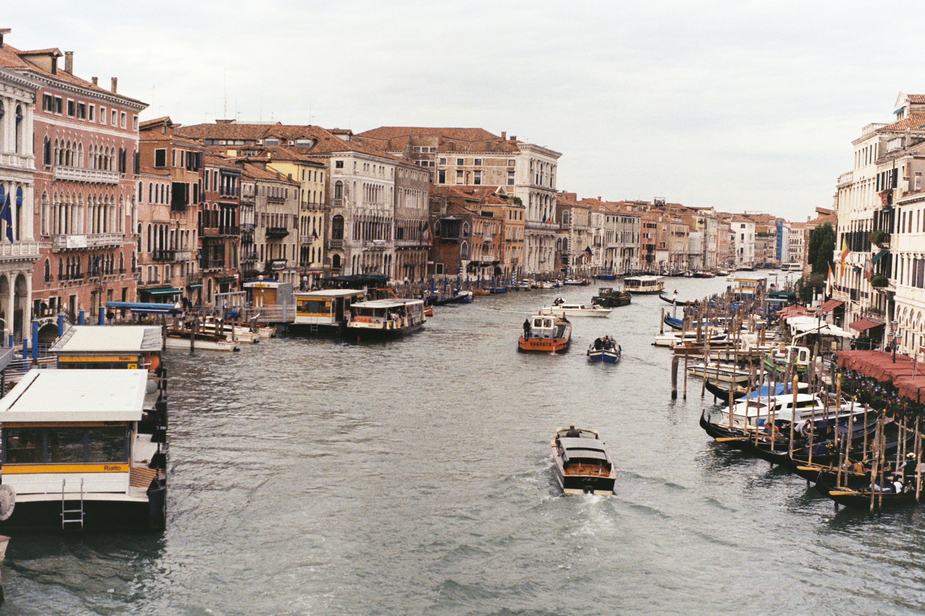 Photo by fiona_analog