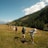 A group of hikers smiling on a mountain trail during a sunny day.