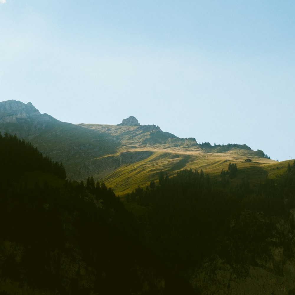 a landscape with trees and mountains