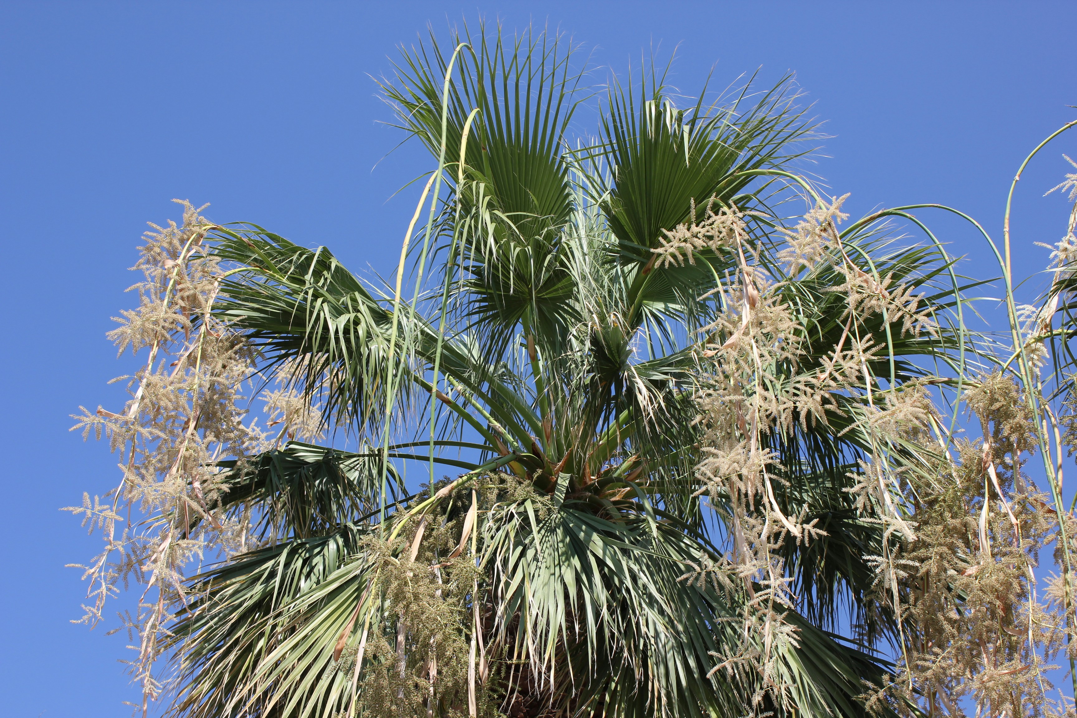 Sunny holiday Greek Island Crete