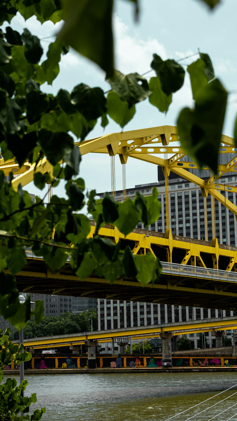 a yellow and green roller coaster