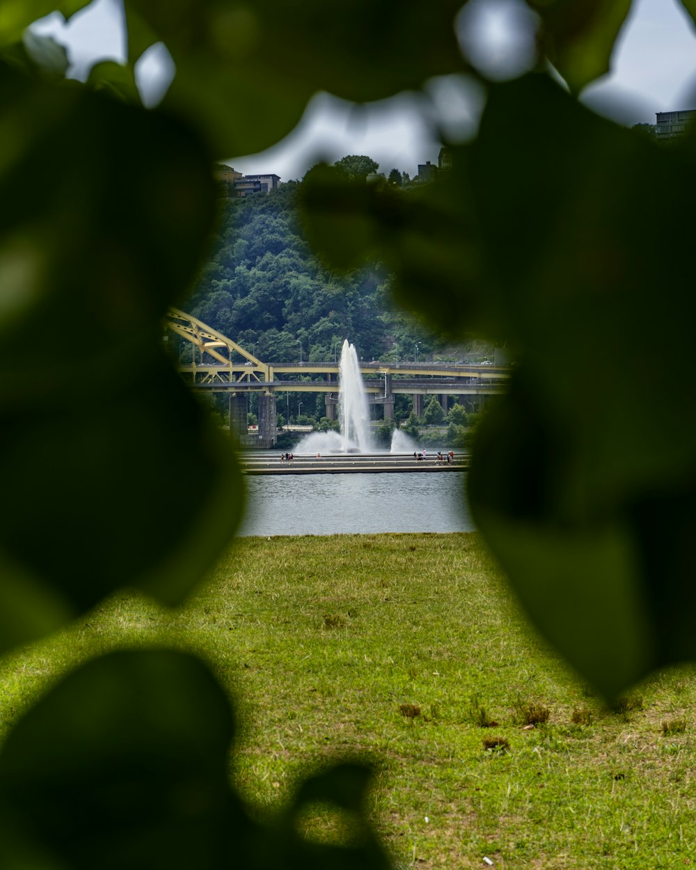 Una fontana in un parco