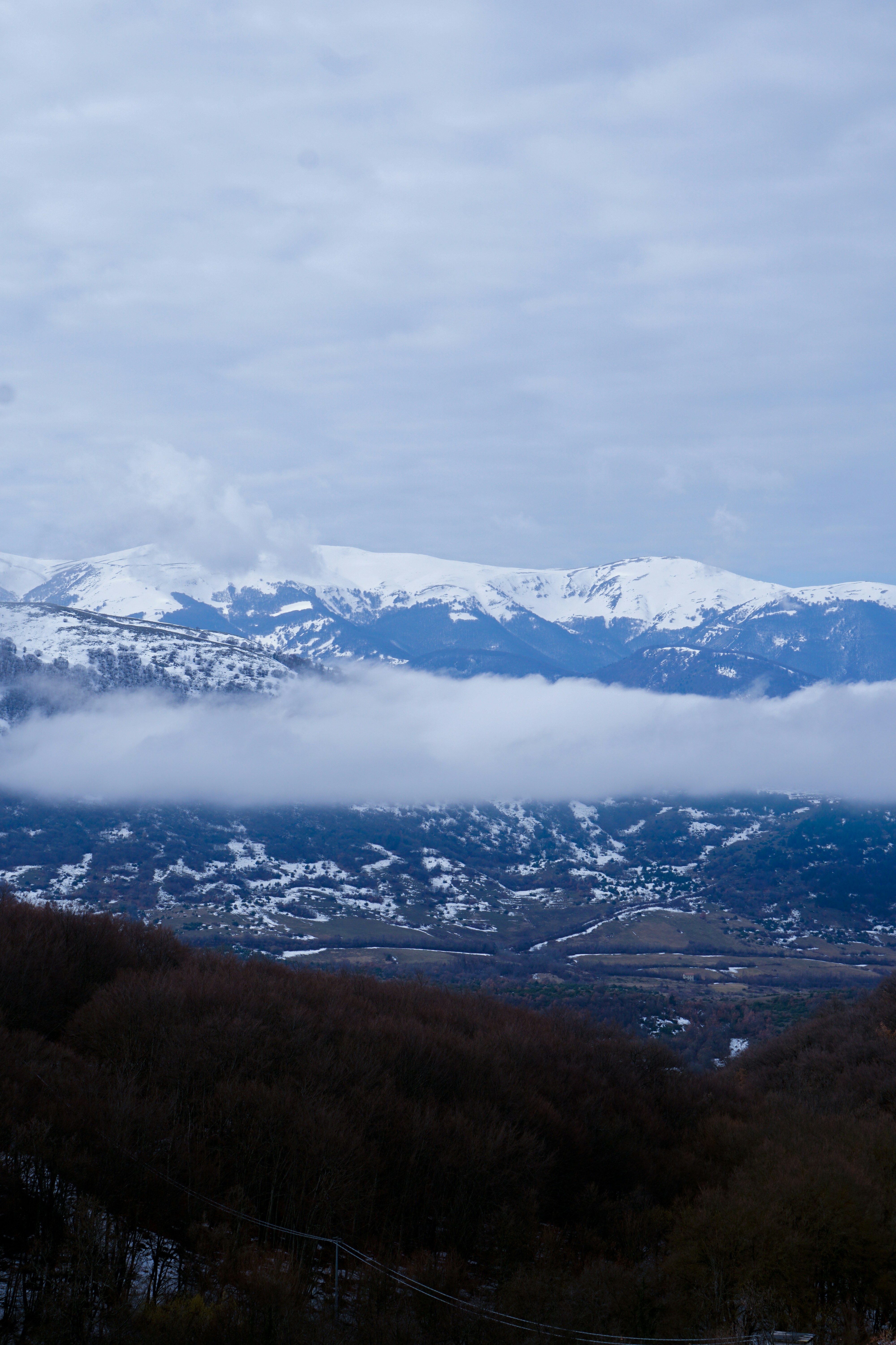 Photo by umbertodicapua