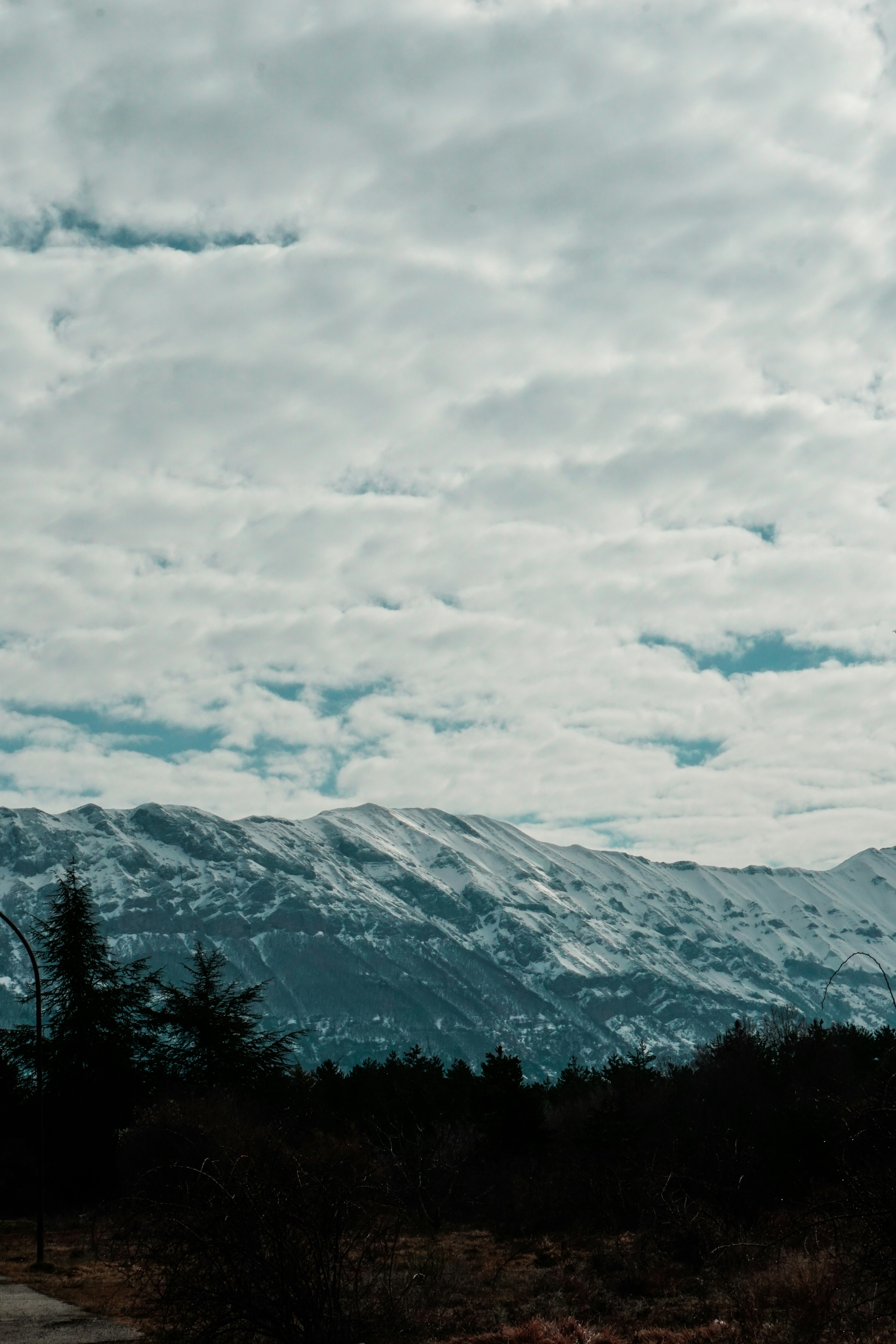 Photo by umbertodicapua