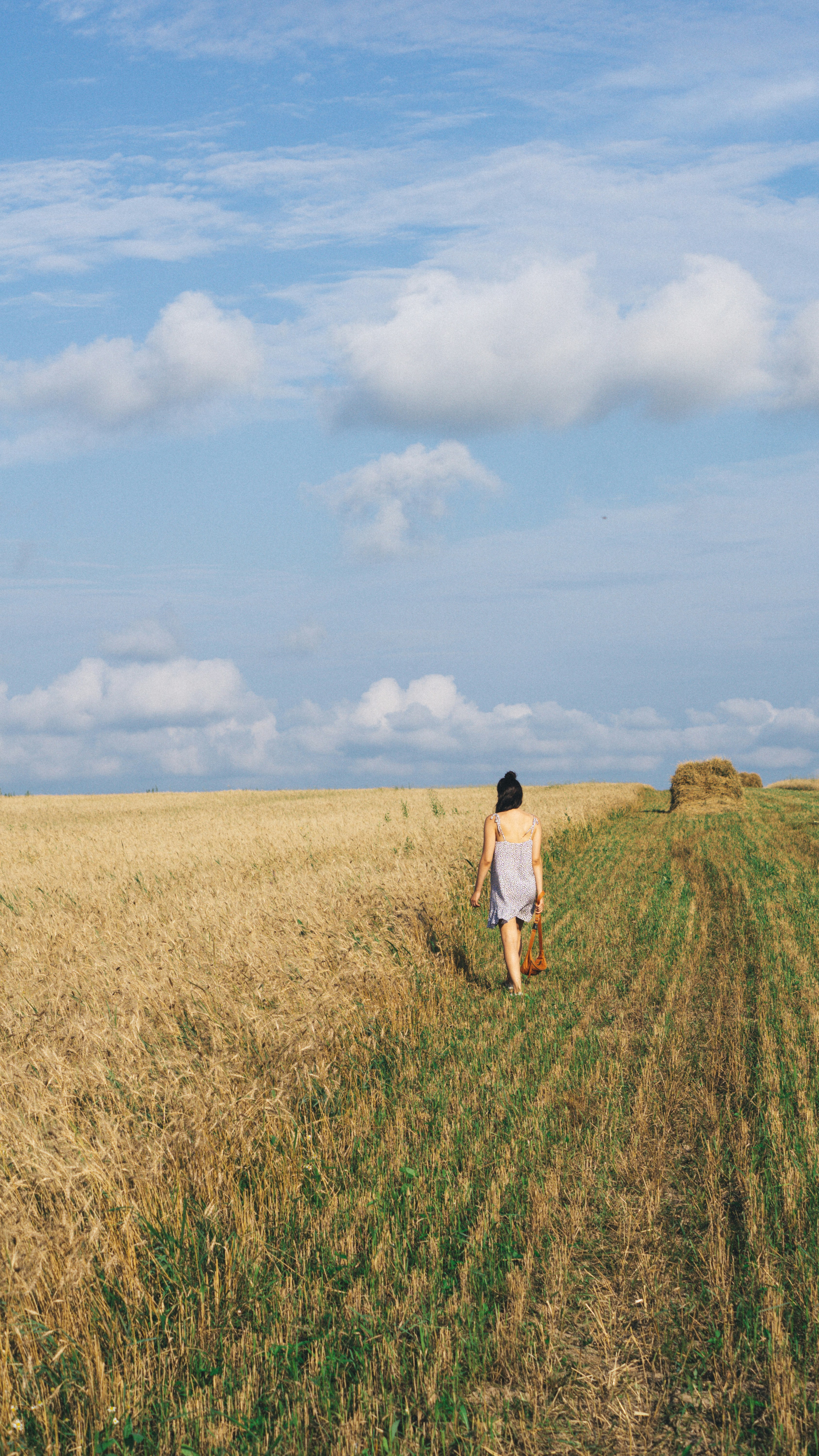 Photo by gyallarhorn