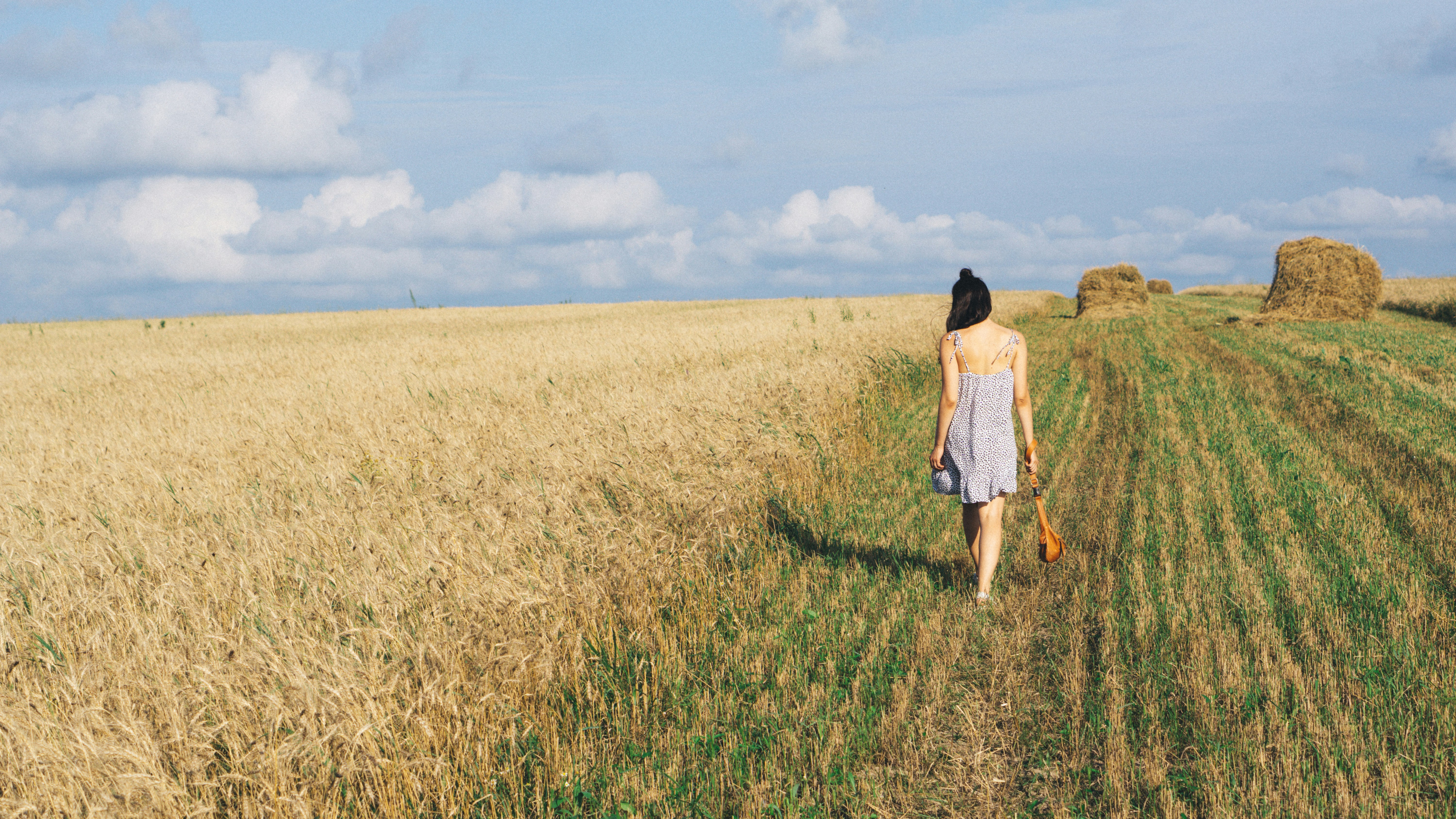 Photo by gyallarhorn